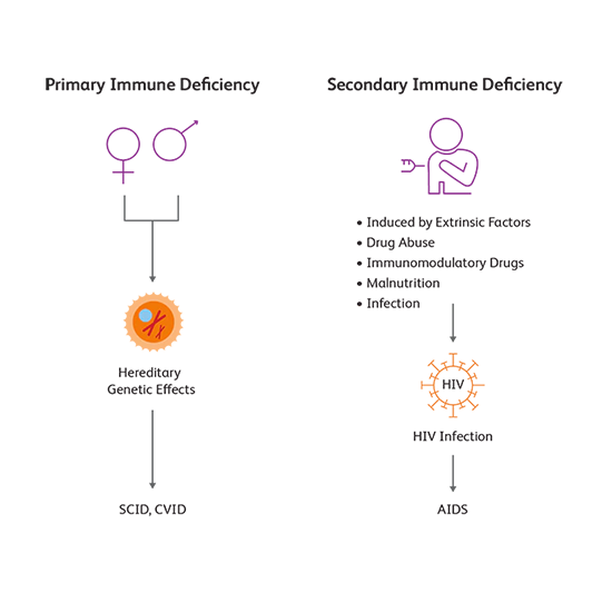 immune deficiency panel 5